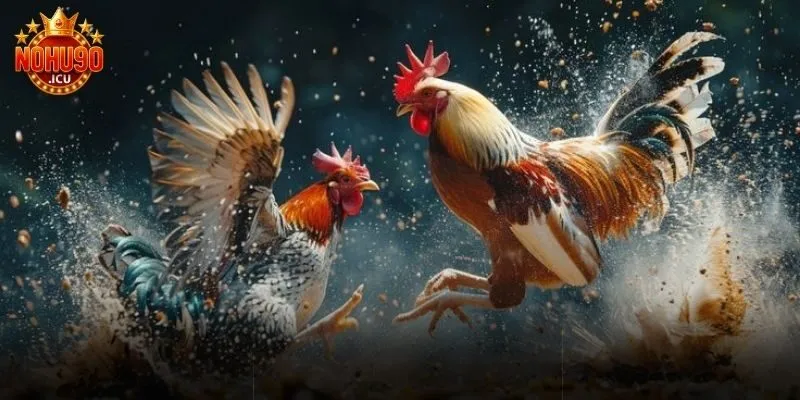Đá Gà Cựa Dao Là Gì? Chia Sẻ Cách Chơi Cho Game Thủ Đá gà cựa dao là gì?