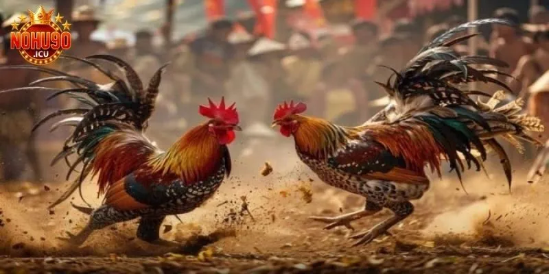 Đá Gà Cựa Dao Là Gì? Chia Sẻ Cách Chơi Cho Game Thủ
